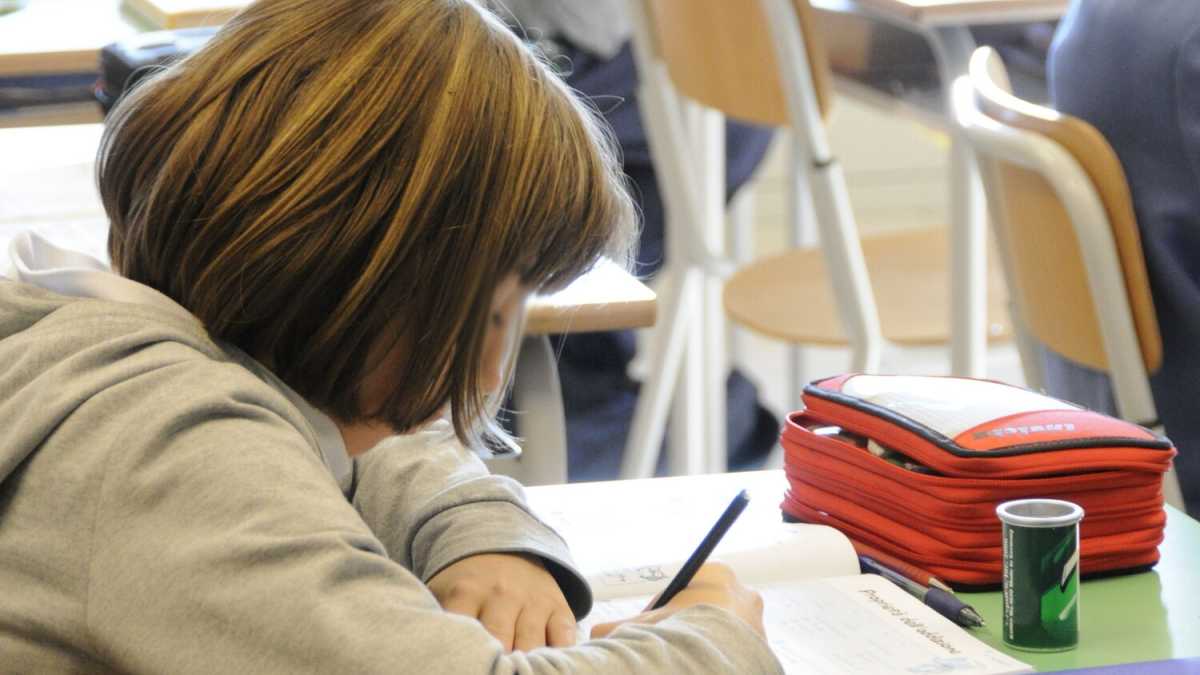 Immagine di La scuola a scuola di gender