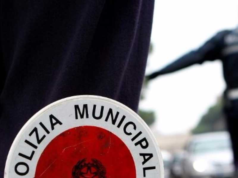 Attivit&agrave; operativa della polizia municipale (foto LaPresse)