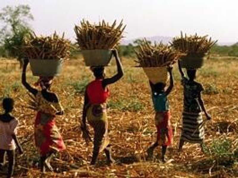 Perché l'aperitivo è più efficace di un vertice Fao nella lotta agli sprechi alimentari