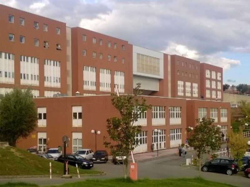Universit&agrave; della Calabria 