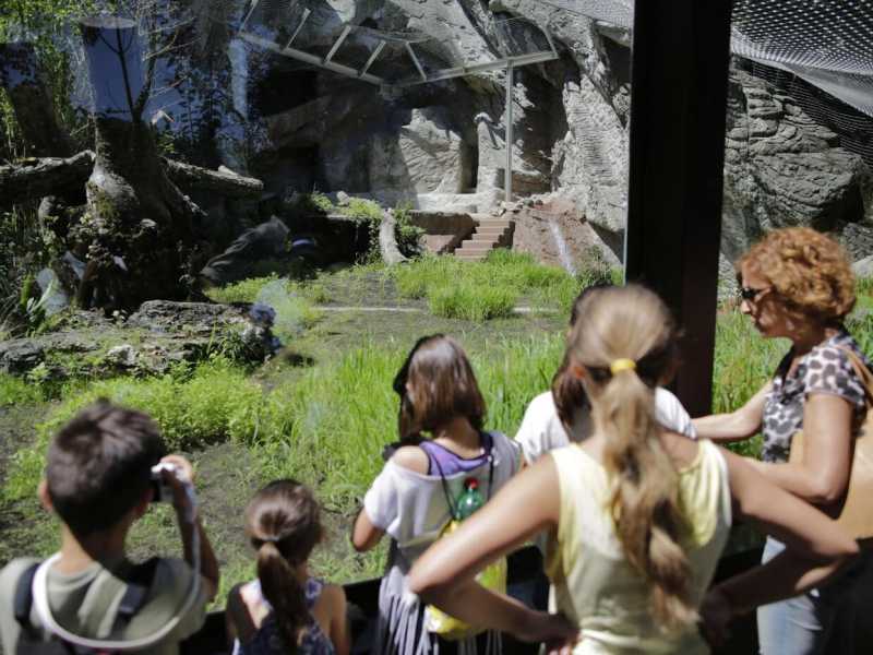 Bioparco di Roma (Foto LaPresse)