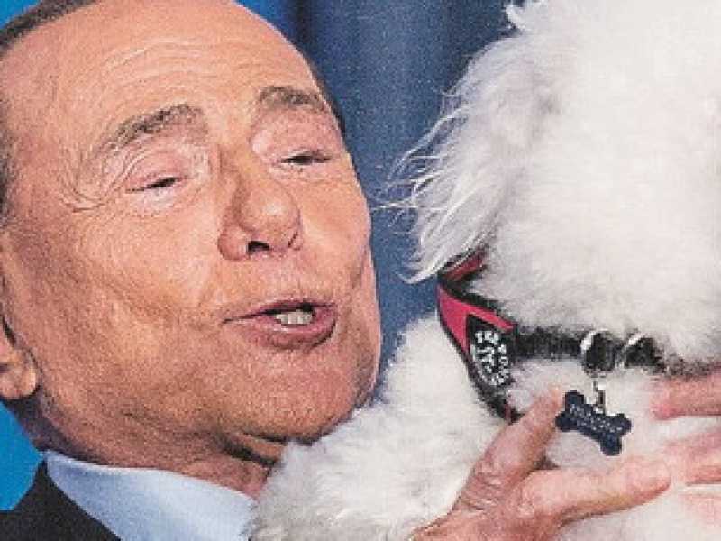 Nuovo cinema Cav.