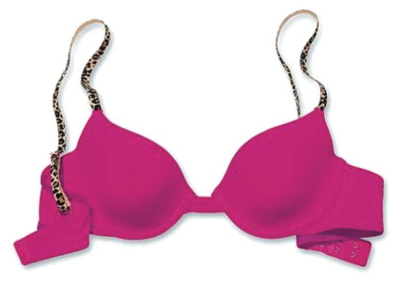 I marchi sguaiati non tirano più, e il reggiseno è in piena deriva etica