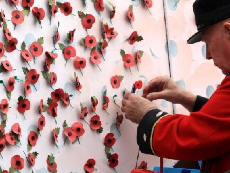 C'è un problema di “Remembrance poppies” nel Regno Unito