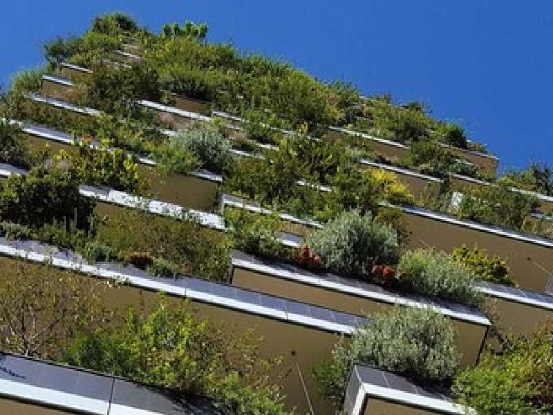 Il Bosco verticale a Milano (foto Josef Grunig)