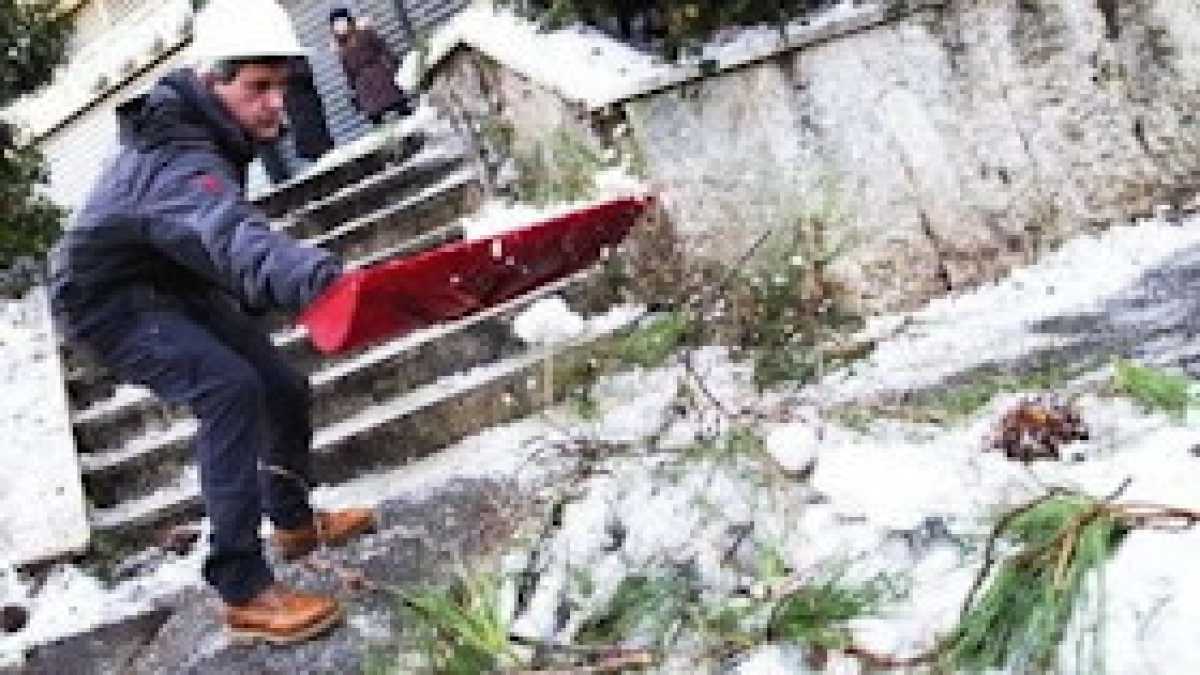 Immagine di Ah, la vecchia Protezione
