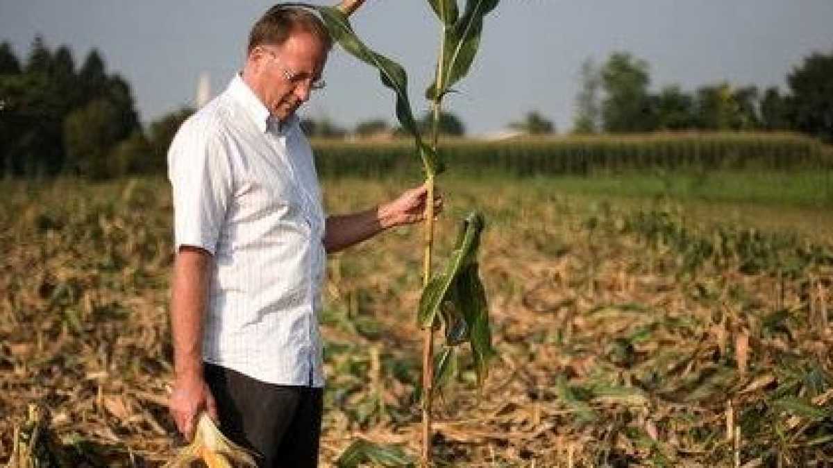 Immagine di Chi è l'agricoltore che ha sfidato il paese del No. E ha vinto