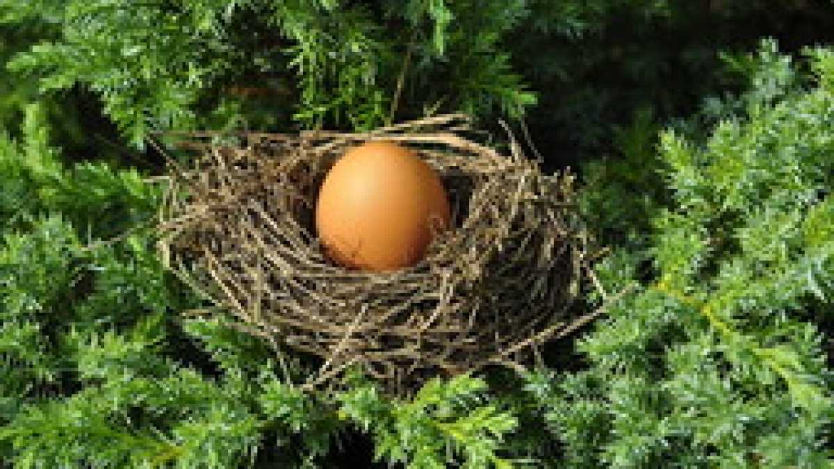 Immagine di Tra disincanto e speranza, il figlio unico pensa ai fratelli che non ha avuto