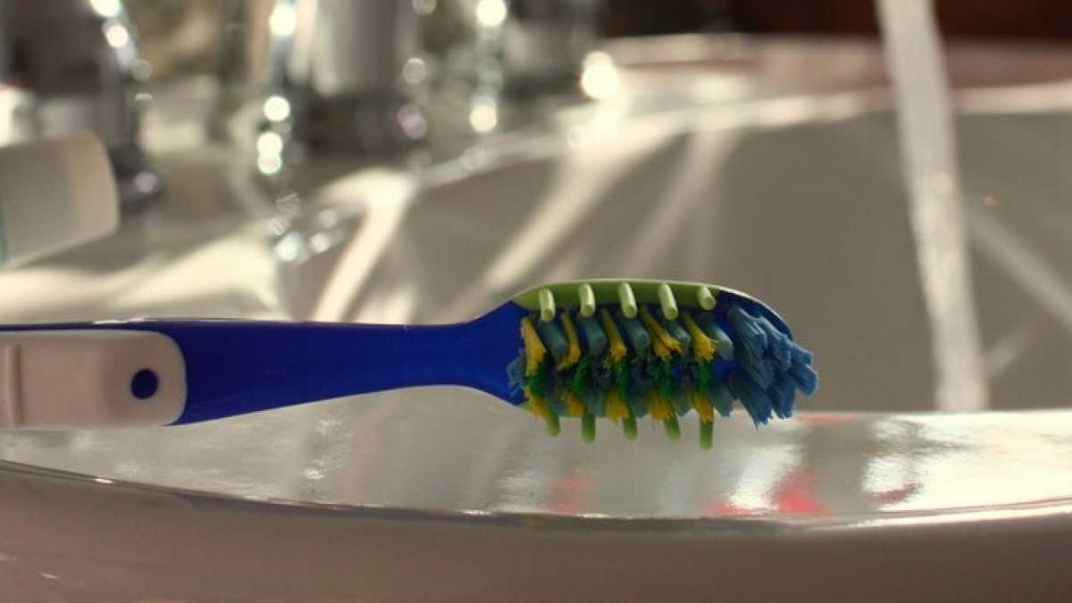 Immagine di Se per diventare dentisti basta uno spazzolino