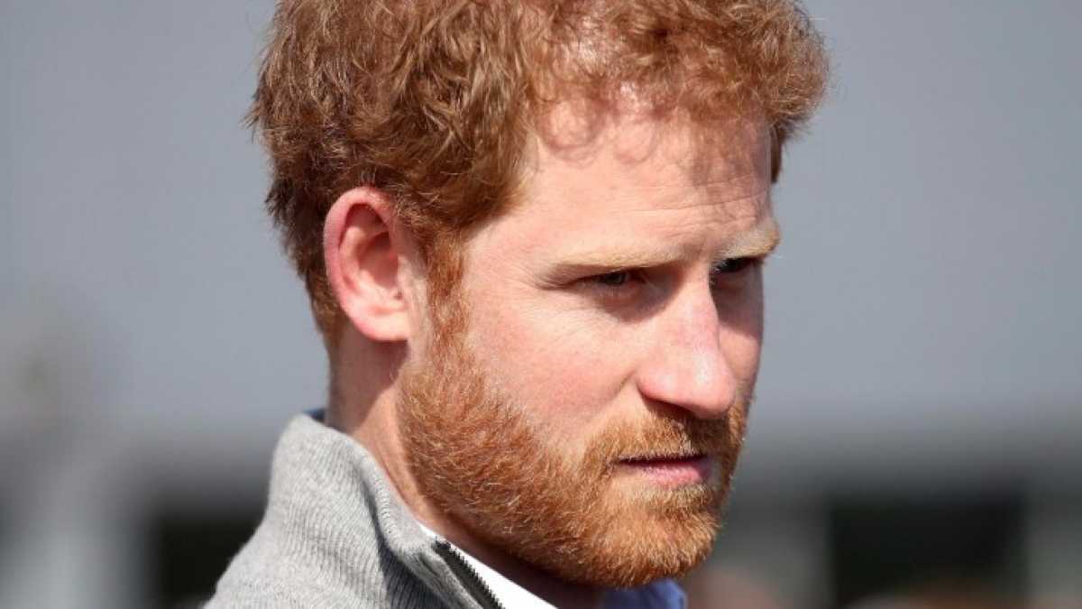 Immagine di I vent’anni da struzzo di Harry. Ben spesi, ragazzo