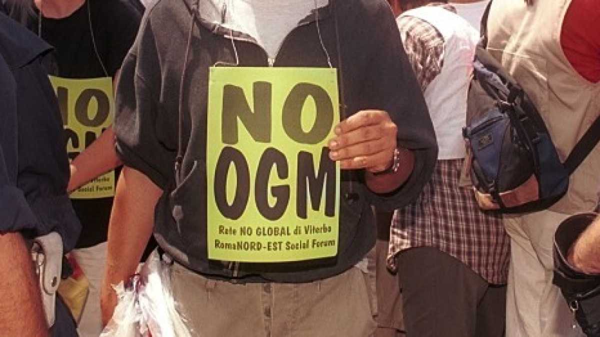 Immagine di La Corte di Giustizia europea condanna i pregiudizi anti-Ogm dell'Italia