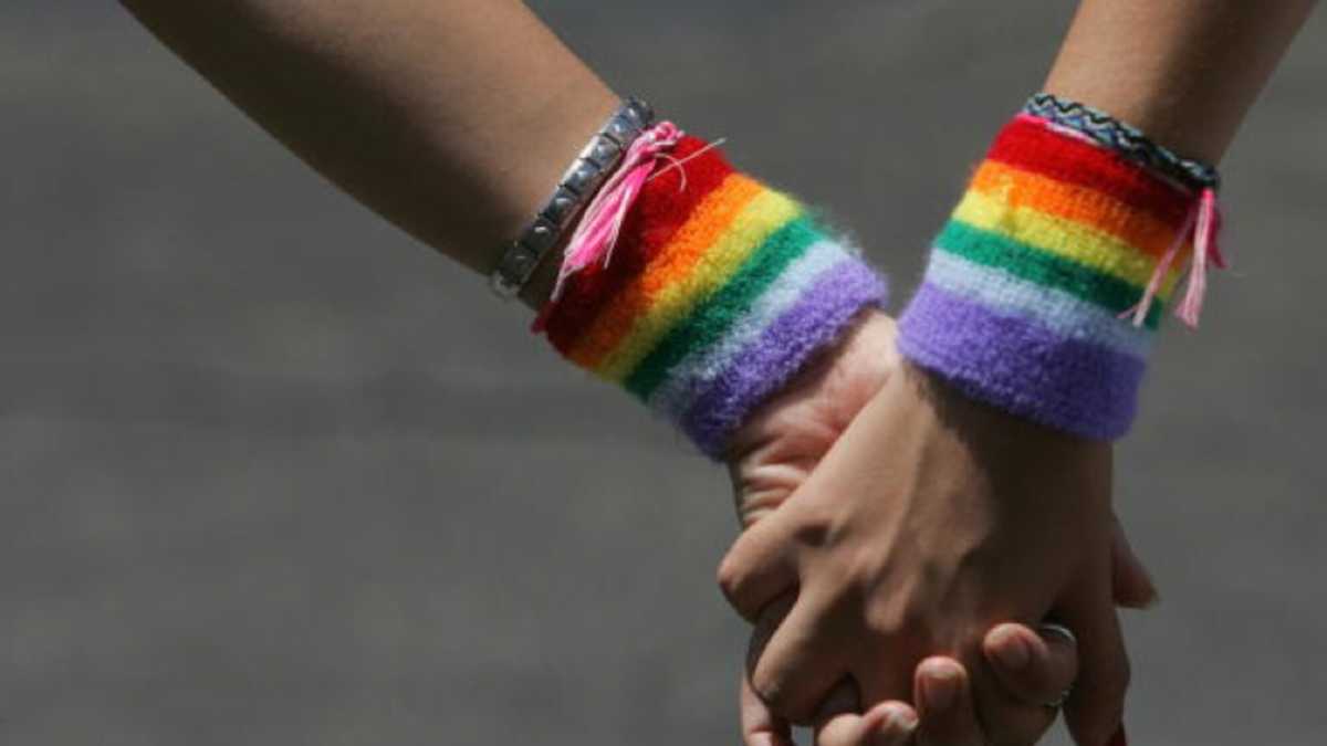 Immagine di Unioni civili gay, quello che il testo di legge promette (e minaccia)