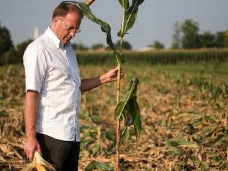 Giorgio Fidenato nei suoi poderi di Arba (Foto da Fecebook)