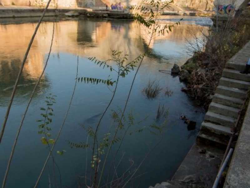 Il fiume Tevere (foto LaPresse)