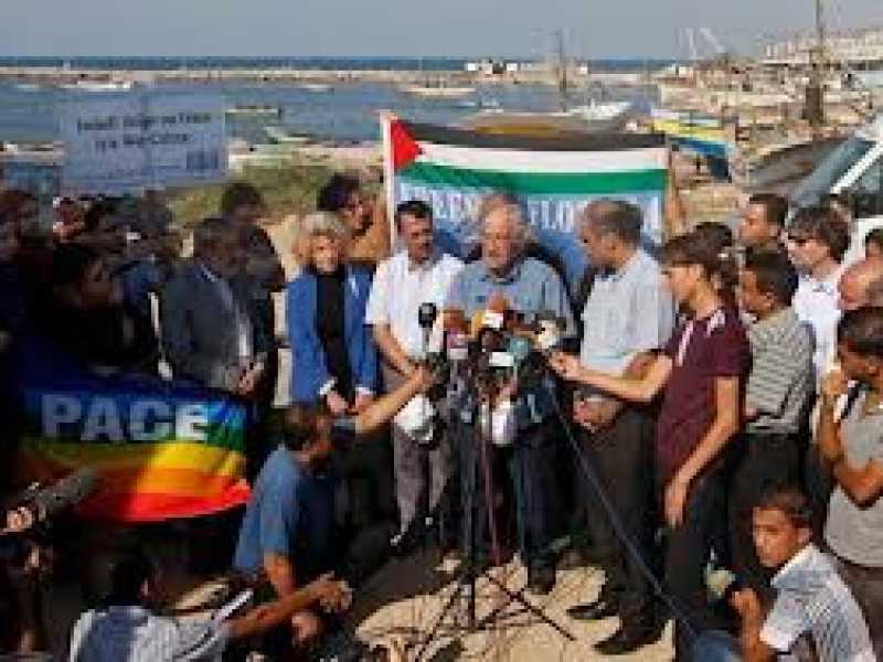 I volenterosi accademici di Hamas