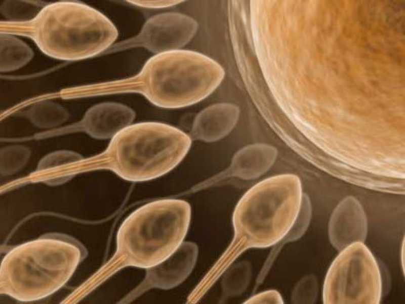 L’uomo che ha accoltellato la madre e la "sofferenza" degli spermatozoi