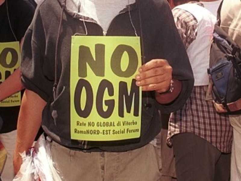 Una manifestazione anti-Ogm (foto LaPresse) 