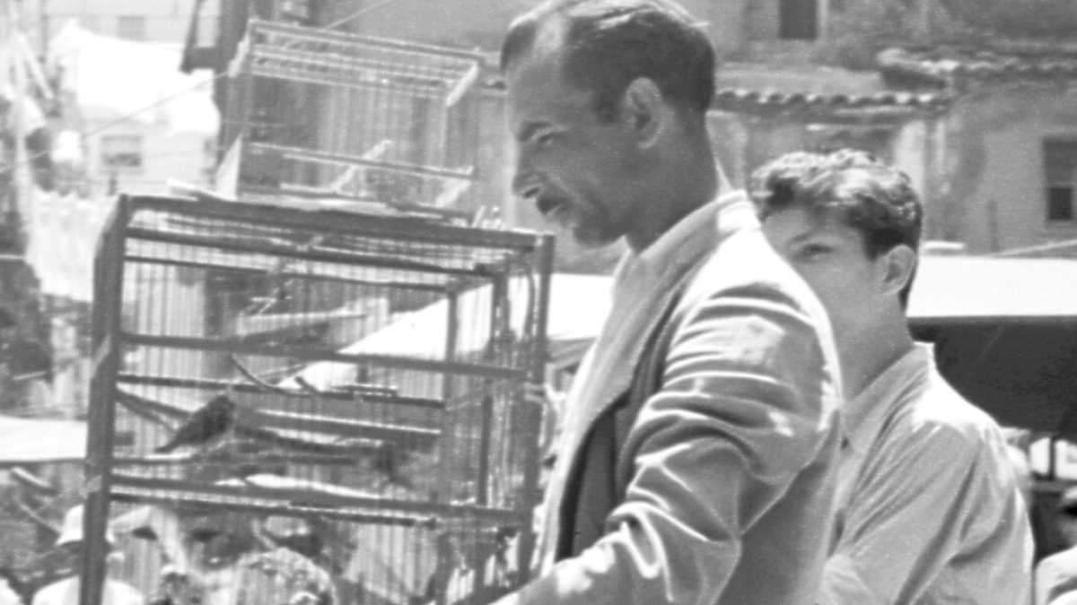 Immagine di Minimalia mafiosa