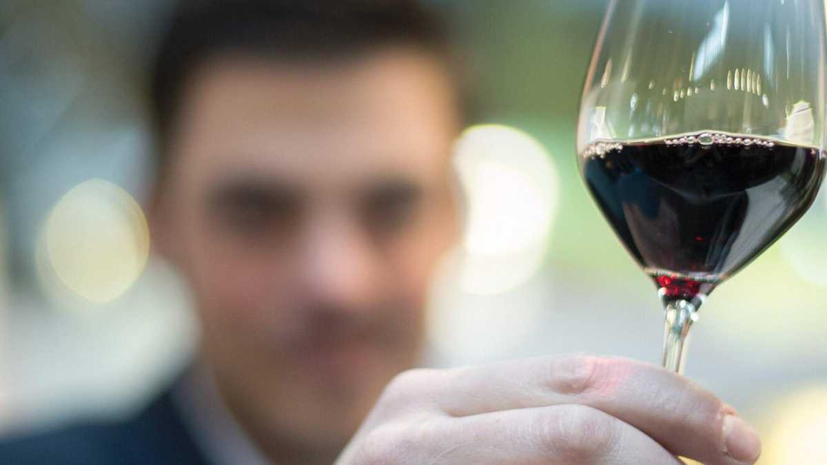 Immagine di Elogio del cannonau e dei vini giovani