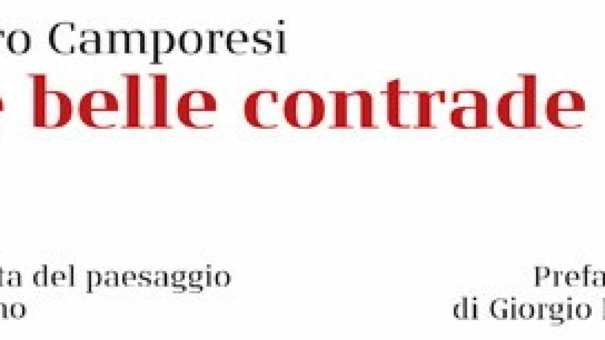 Immagine di Le belle contrade