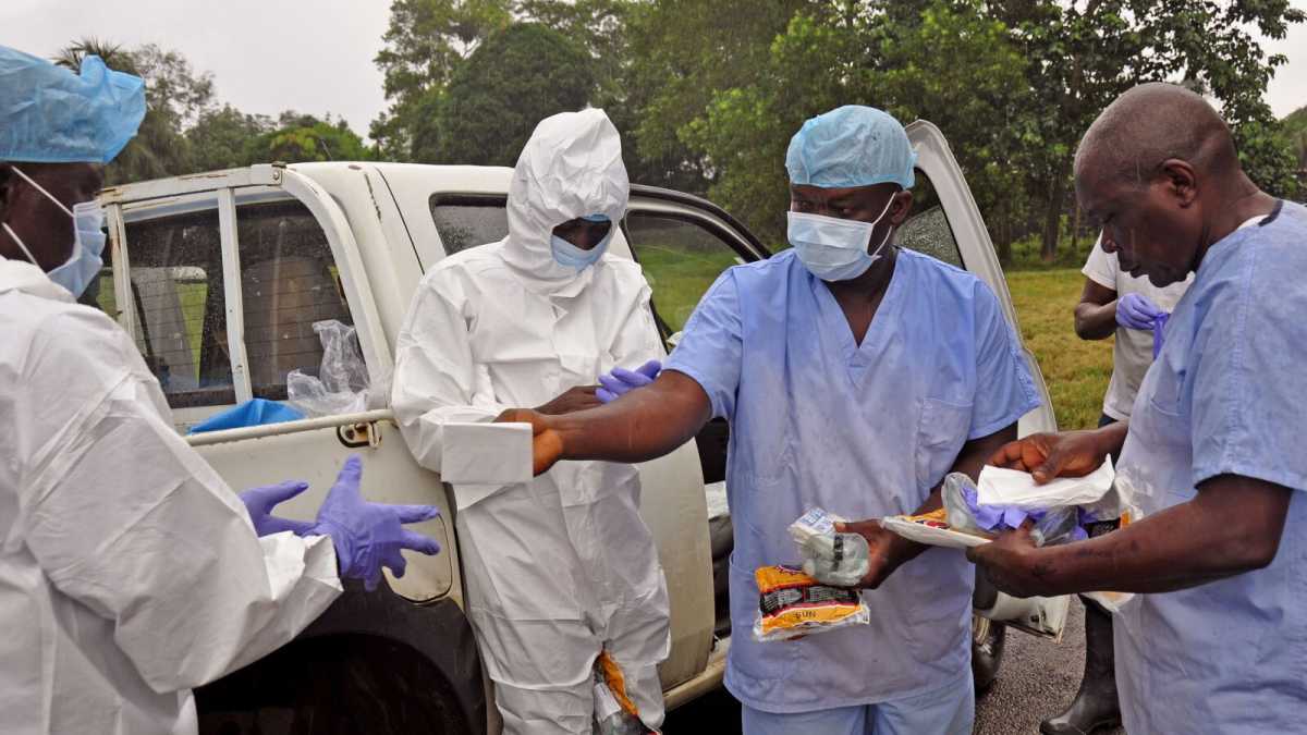 Immagine di Improbabile una pandemia d'Ebola in Europa e America