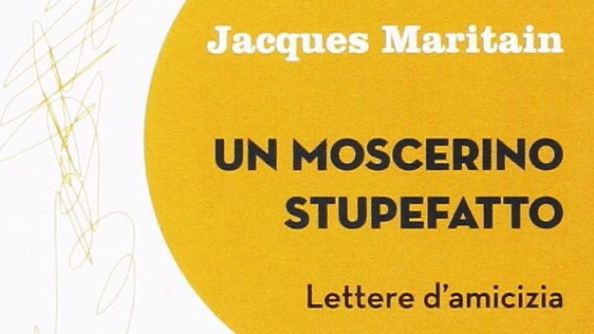 Immagine di Un moscerino stupefatto