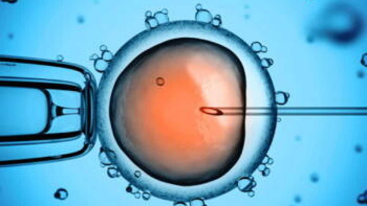 Immagine di Obiezioni al prof. Volpi su eterologa, eugenetica e genitorialità