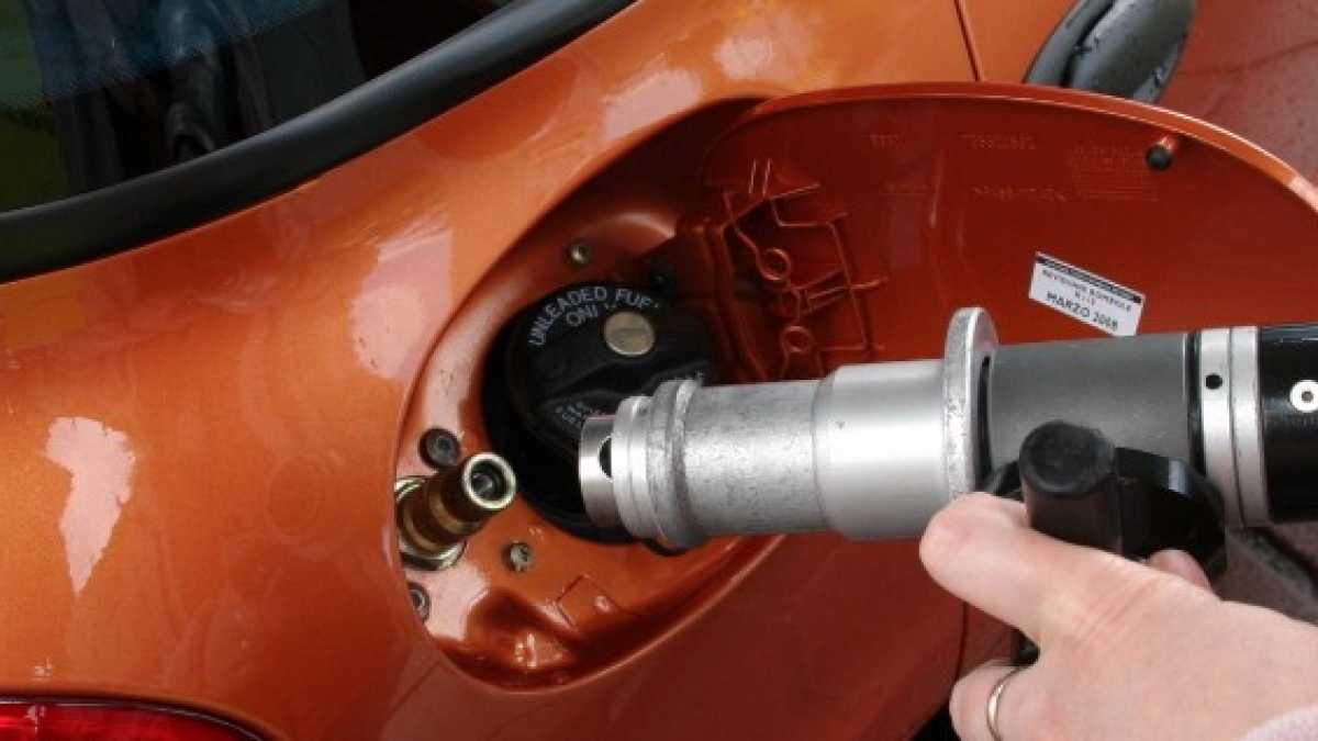 Immagine di La tentazione di fare estinguere i carburanti fossili