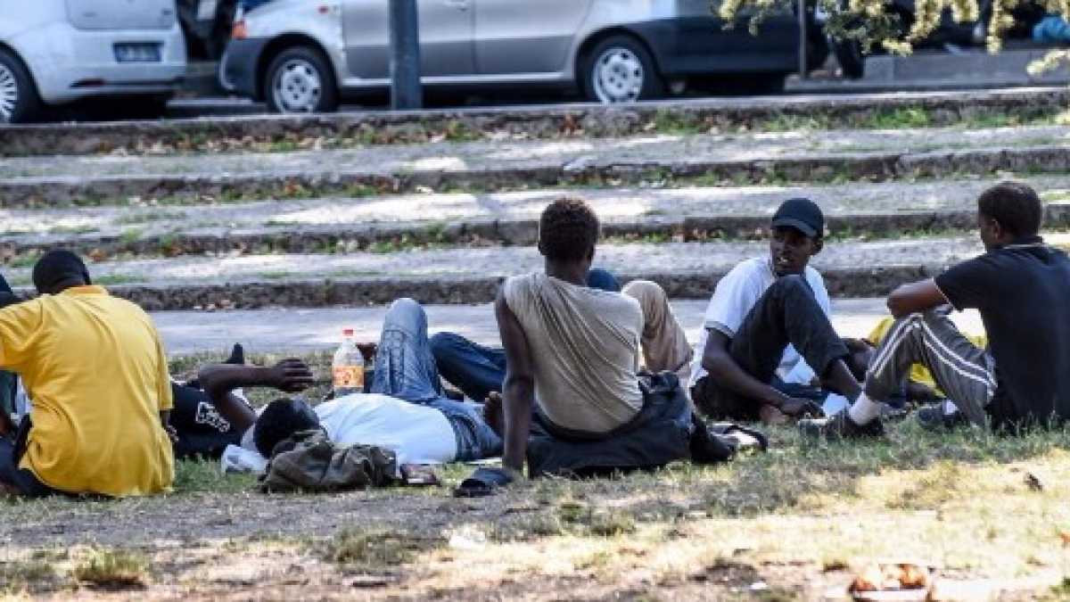 Immagine di I bradipi e i migranti