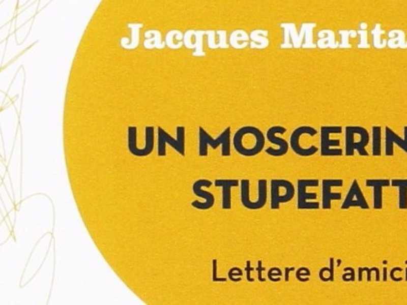 Un moscerino stupefatto