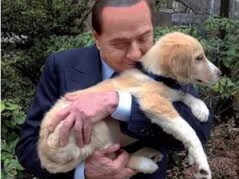 Se nel pranzo della domenica dei democratici irrompe il contante del Cav.