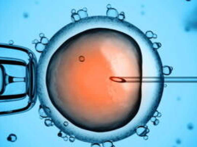 Obiezioni al prof. Volpi su eterologa, eugenetica e genitorialità