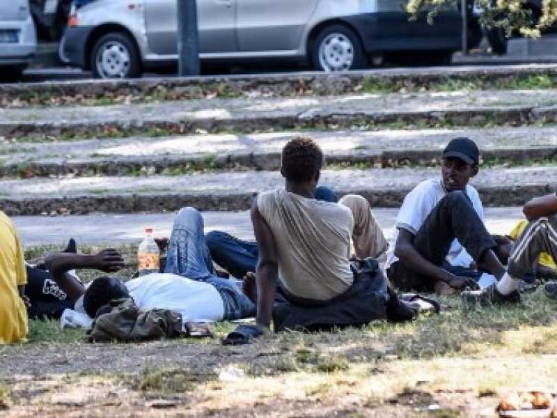 I bradipi e i migranti