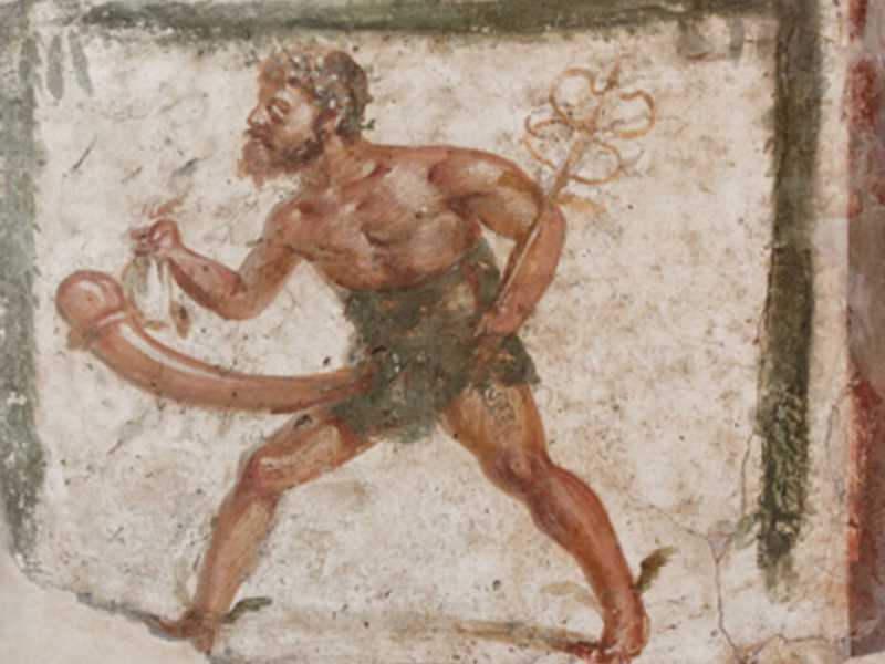Cav. e cazzoni