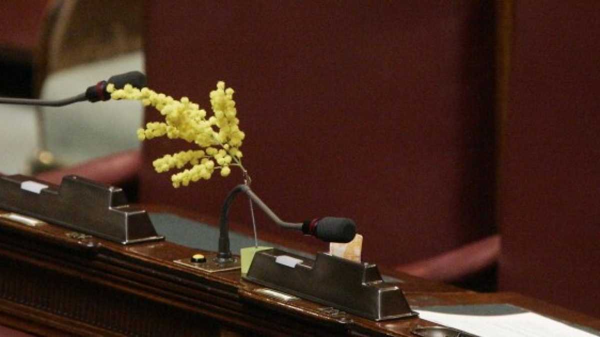 Immagine di Crisantemi non mimose per la Festa della donna