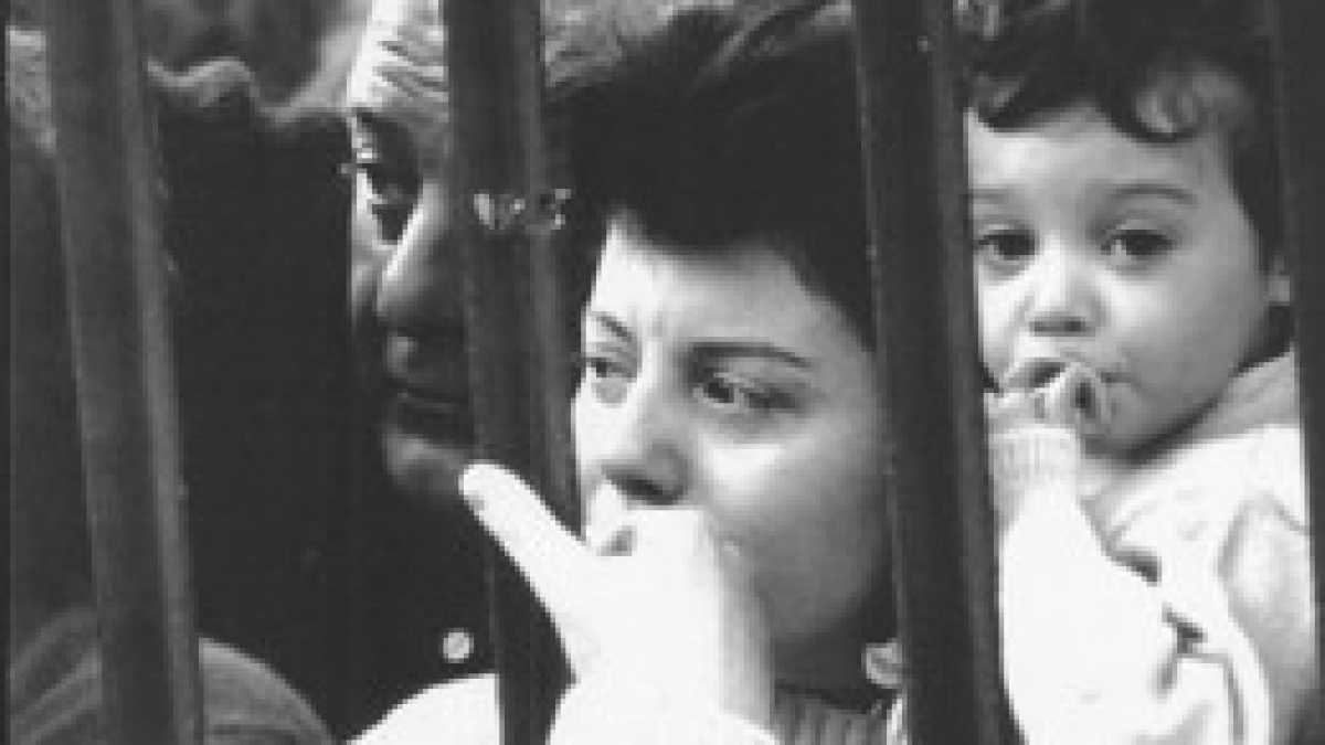 Immagine di Pogrom italiano
