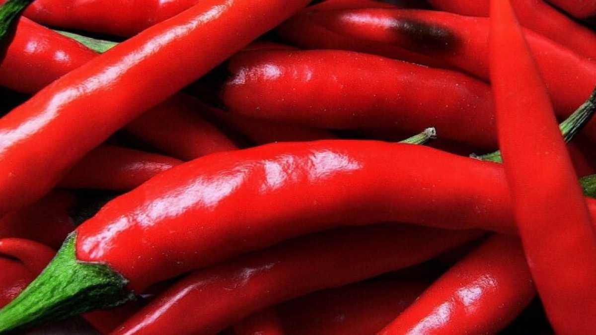 Immagine di Xi Jinping pro global, la Brexit di Theresa May e il peperoncino. Di cosa parlare stasera a cena