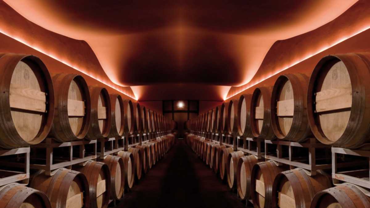 Immagine di L'Italia supera la Francia anche nella produzione di vino
