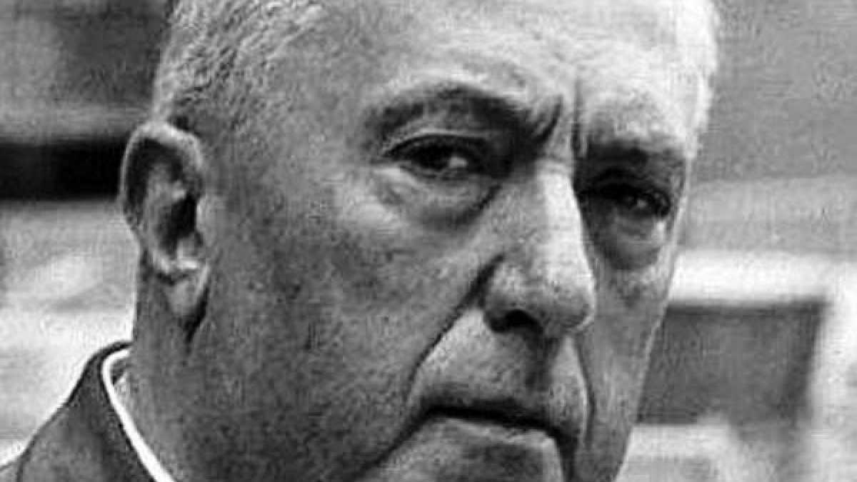 Immagine di L'equivoco di Gadda utile per esprimere solidarietà a Vitiello