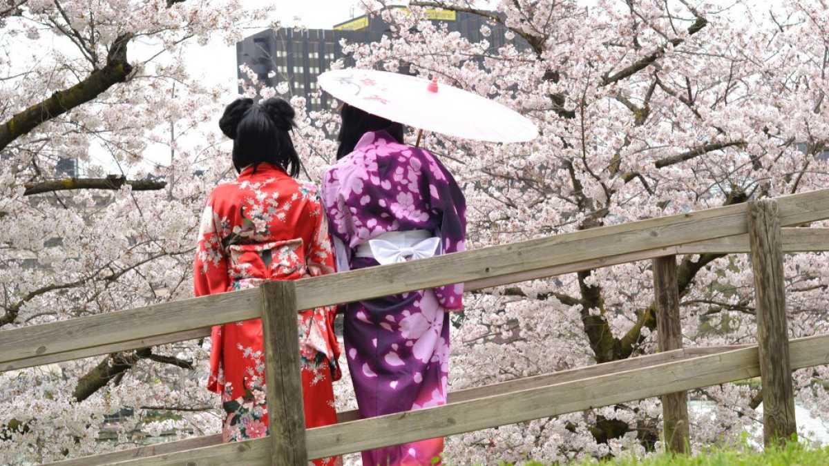 Immagine di Il torbido viaggio al termine del Giappone di un samurai d’occidente