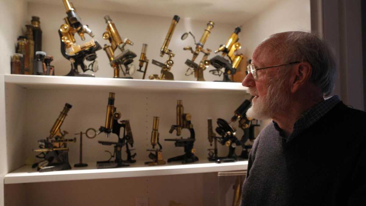 Immagine di Palmira, il Premio Nobel e il via al Sinodo. Di cosa parlare questa sera a cena