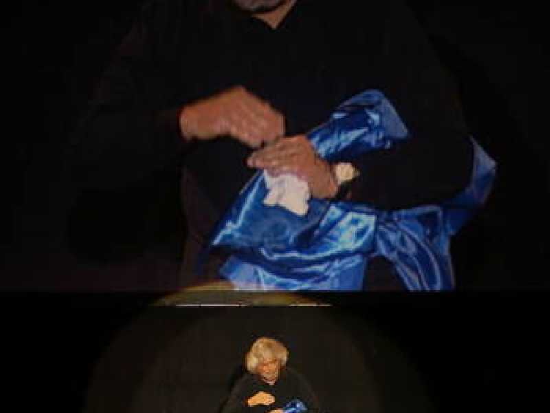 Grillo contro Grillo