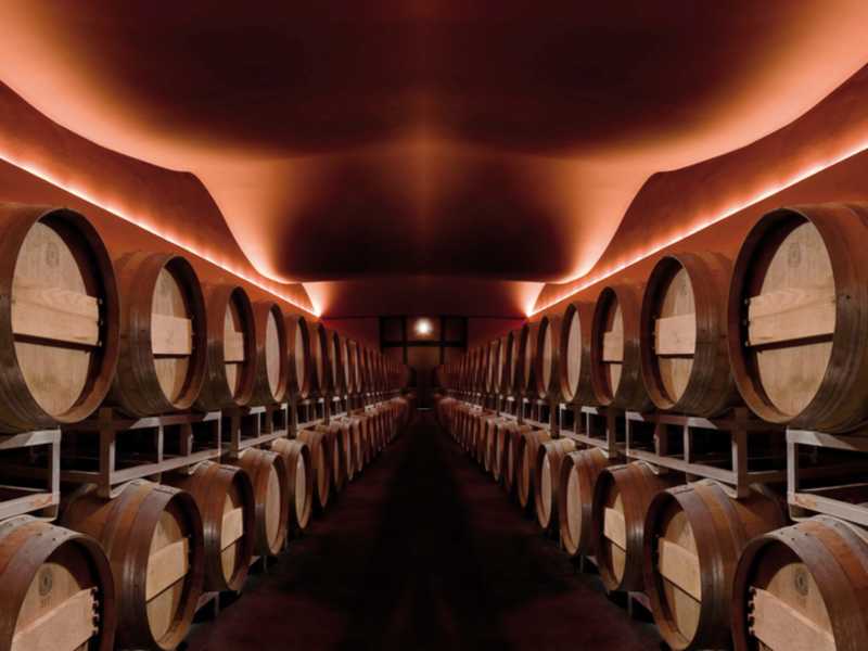 L'Italia supera la Francia anche nella produzione di vino