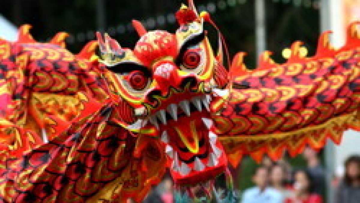 Immagine di L’anno della “Dragonessa”