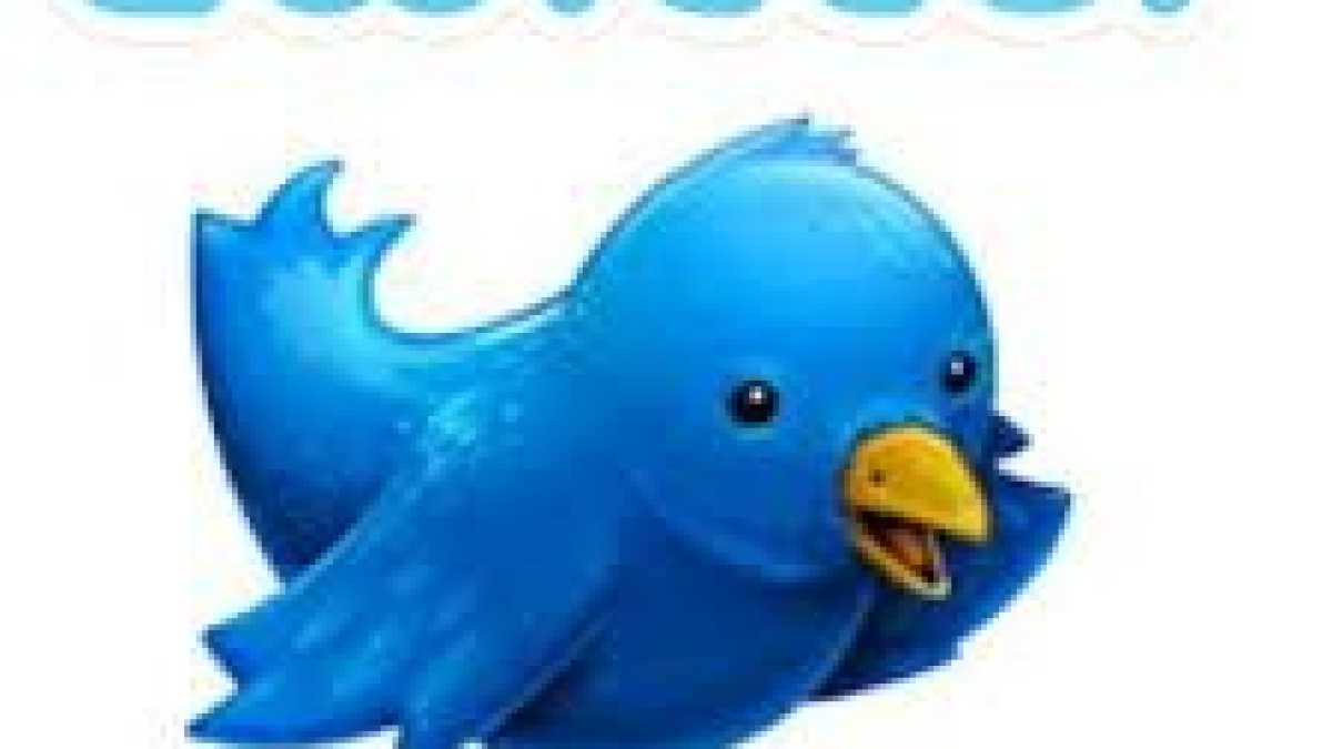 Immagine di Occhio al tweet