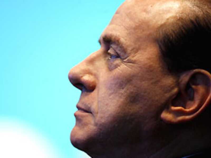 I falchi e altri rapaci