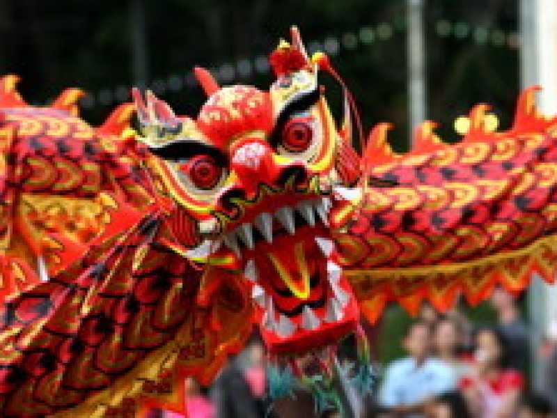 L’anno della “Dragonessa”