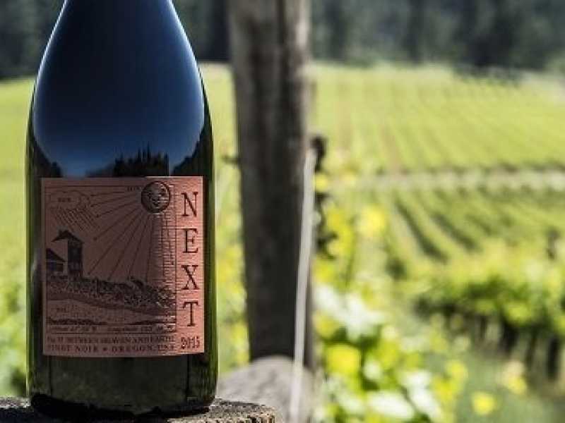 Il vertice sui migranti, le tensioni sul climate change e il vino di Amazon. Di cosa parlare stasera a cena