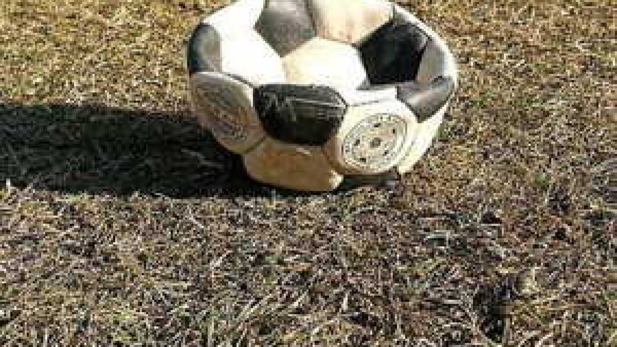 Immagine di Calcio corrotto, campionato infetto?