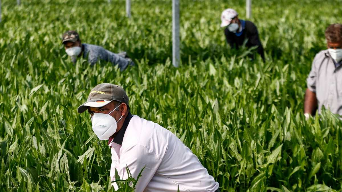 Immagine di Il buonsenso delle regolarizzazioni